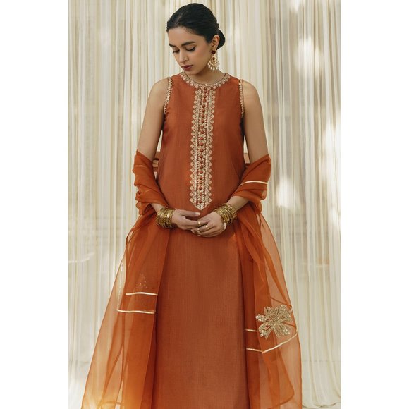 Punjabi Pakistani Gorgeous Rust Outfit: Three-Piece Set! - Picture 3 of 6